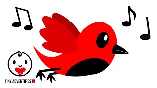 Baby Sensory  Relaxing Flying Bird to Calm Newborn  Black White Red [upl. by Trillby759]