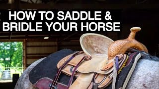 HOW TO TACK UP YOUR HORSE WESTERN [upl. by Alleunam]