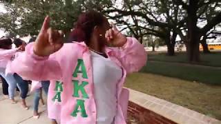 Lambda Omicron Chapter of Alpha Kappa Alpha Sorority Inc  Founders Day 2018 [upl. by Idok]