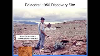 Jim Gehling Palaeoecology and Environments of the Ediacara Biota Record in the Flinders Ranges [upl. by Child111]