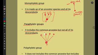 Evolution  Phylogenetic trees  monophyletic group  paraphyletic group  polyphyletic group [upl. by Tillie]