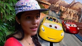 MONTAÑAS RUSAS DE DISNEY  LOS POLINESIOS VLOGS [upl. by Fillbert432]