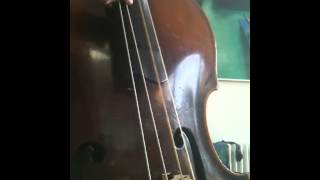 Superior Bassworks TriCore with gut [upl. by Lyrad750]