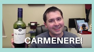 Viu Manent Carmenere Wine Review [upl. by Ysirhc187]