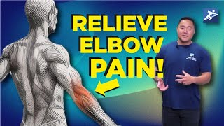 Elbow Pain Relief Exercises [upl. by Meehan273]