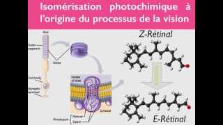 Géométrie des molécules  33 [upl. by Lejeune]