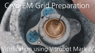 CryoEM Grid Preparation  Vitrification using Vitrobot Mark IV [upl. by Eihcra]