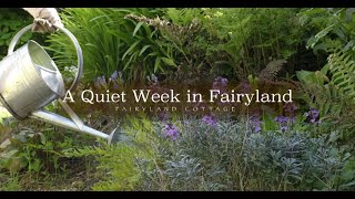 A Quiet Week in Fairyland [upl. by Ahsyle]