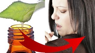 How to use TEA TREE OIL for DANDRUFF and NATURAL HAIR and Why it works so well [upl. by Botsford328]