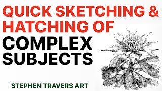 Combining Quick Sketching with Complex Subjects [upl. by Htnicayh3]