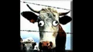 How to identify mad cow disease [upl. by Areic]