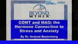 Treating COMT and MAO The Hormone Connection to Stress and Anxiety [upl. by Seymour]