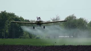 Crop Dusting Plane at Work [upl. by Mingche]