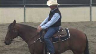 Horse Training for the Stop amp Back Up  Basic training to sliding stops for reining amp cutting [upl. by Fasano]