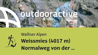 Hochtour in den Walliser Alpen Weissmies 4017 m Normalweg von der Weissmies Hütte über Hohsaas [upl. by Erick149]