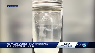 What a catch Oskaloosa teen finds jellyfish in southern Iowa lake [upl. by Neuberger]