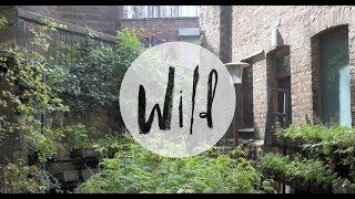 Wild Wine Fair 2019  Timberyard Edinburgh [upl. by Moses631]