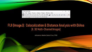 FIJI ImageJ Colocalization amp Distance Analysis with DiAna II 3D MultiChannel Images [upl. by Frere]