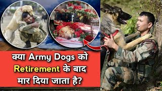 What Happens To Indian Army Dogs After Retirement Indian Army’s Canine Soldiers [upl. by Ecnatsnoc326]