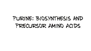 Purine Biosynthesis and Precursor amino acids [upl. by Taft496]