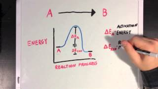 Enzymes and Activation Energy [upl. by Eirehs]