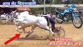 chimnakhari true 💓bull Best Video Bullock Jodi Race Pat Video pat pratiyogita murajhad💓😎 [upl. by Enilreug]