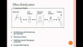 Enzyme  Katalytische Wirkung Teil 2 [upl. by Hussar833]