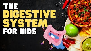 The Digestive System for Kids  A fun engaging overview of what happens when we eat [upl. by Packer181]