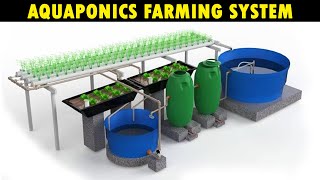 Aquaponics Farming System  Grow Fresh Fish and Vegetables Together [upl. by Inilahs]