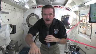 Chris Hadfield answers questions live from space with the Governor General of Canada [upl. by Phebe]