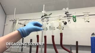 Degassing solvent on the Schlenk line [upl. by Johnny]