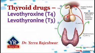 Thyroid drugs  Thyroxine amp Thyronine  YR Pharma Tube  Dr Yerra Rajeshwar  Dr YR [upl. by Oringas]