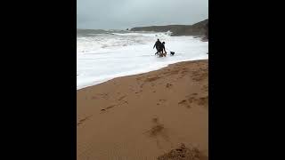 Dog walkers soaked Storm Ashley failarmy soaking funnyshorts mountainbikingfat [upl. by Derrek]