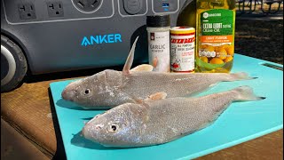 Beach Surf Fishing Catch And Cook Whiting With The Anker Powerhouse 767 [upl. by Witt236]