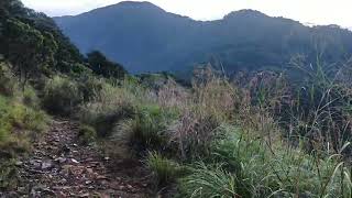 Trail running ultramafic rocks dunite serpentinite harzburgite peridotite lherzolite Zambales [upl. by Rad453]