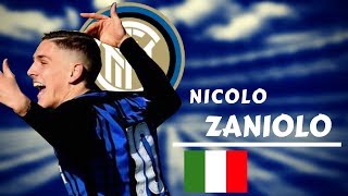 NICOLO ZANIOLO  Amazing Goals Assists and Skills  20172018  HD [upl. by Llehsad]