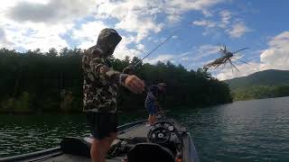 Watauga Lake Early FallSept 2023 Bass Fishing [upl. by Rairb]