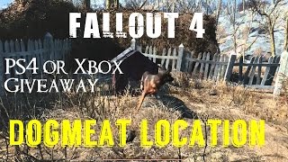 Fallout 4  Finding Dogmeat in Sanctuary Hills [upl. by Nivlad840]