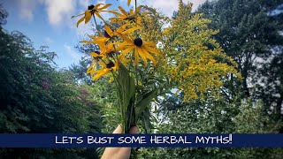 Lets Bust Some Herbal Myths [upl. by Lettie]