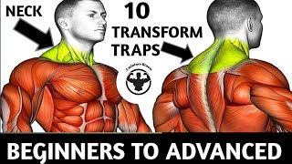 10 Transform Neck amp Traps Exercises [upl. by Annawahs]