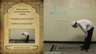 How to Pray  Zuhr Noon Pray  Fardh [upl. by Eisso]