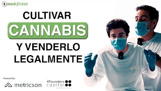 Cómo CULTIVAR CANNABIS y VENDERLO de manera LEGAL con un método ÚNICO  Canamedics [upl. by Babbette877]