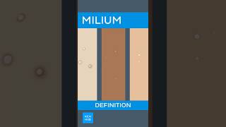 Milium Definition  Kenhub [upl. by Avenej]