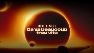 Bigflo amp Oli  Ça va beaucoup trop vite Clip IA [upl. by Ynaoj283]