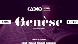 « Genèse »  LAncien Testament  La Sainte Bible audio VF Complète [upl. by Oeak296]