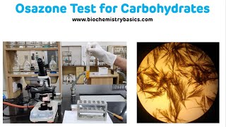 Osazone Test For Carbohydrates with Demonstration  Osazone Formation [upl. by Rosemare294]