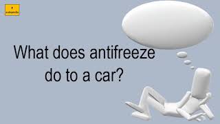 What Does Antifreeze Do To A Car [upl. by Ernaline]