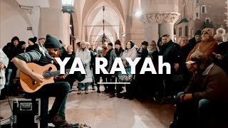 Ya Rayah  Algerian song street performance from Poland krakow city [upl. by Eenwat]