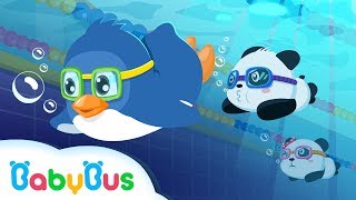 ❤ Panda Sports Games  Swimming  Animation For Babies  BabyBus [upl. by Nedry421]