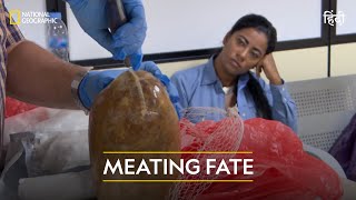 Meating Fate  Airport Security Madrid  हिन्दी  Full Episode  S4  E2  National Geographic [upl. by Acinhoj484]